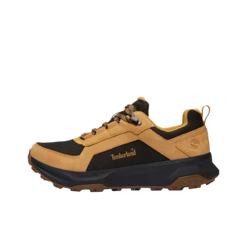 Timberland MOTION LEDGE Уличная обувь Мужская