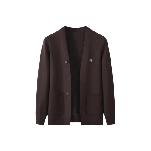 POLOMEISDO Унисекс Свитера