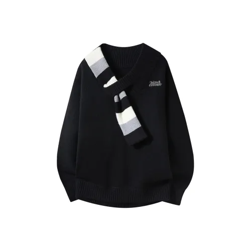 WELTER EXPERIMENT Трикотаж Унисекс