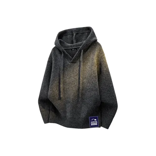 QVAV Унисекс Свитера