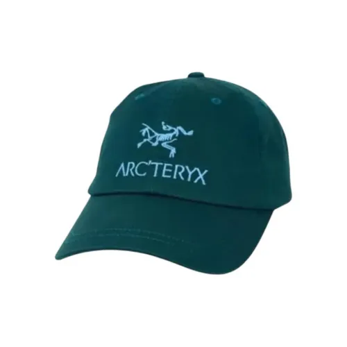 PALACE x Arctery Кепки Унисекс Зеленый