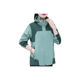 Горох Зеленый