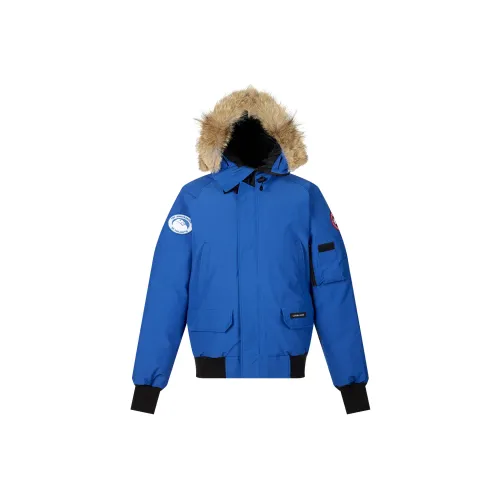 Canada Goose Chilliwack Series Пуховик Parka Пальто Мужской Синий