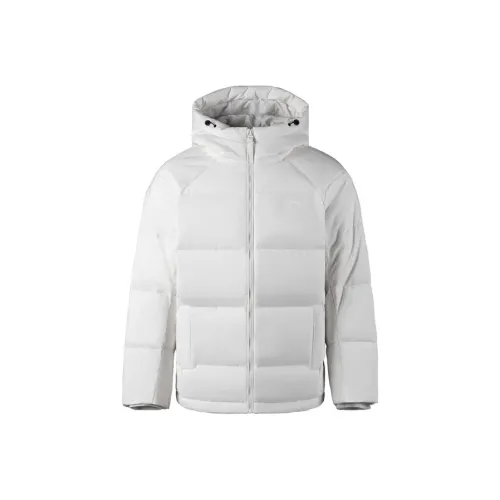 Подкладка Шампанское Белый Женский Пух