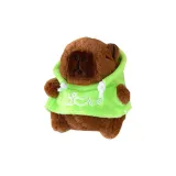 Капибара-Зеленая толстовка-Любовь Вышивка