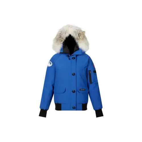 Canada Goose пуховик Pilot куртка зимний женский синий