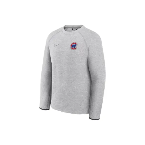 nike Серый Мужской Свитшот