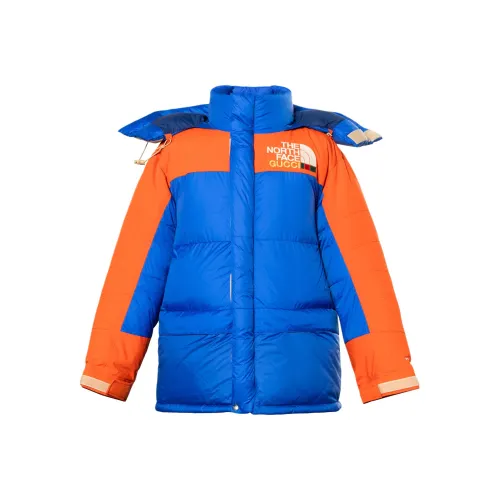 GUCCI x THE NORTH FACE Gucci X THE NORTH FACE SS22 Пуховик Мужской