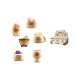 Целая коробка из шести