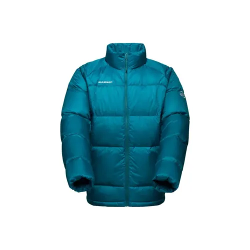 MAMMUT Мужские Пуховики