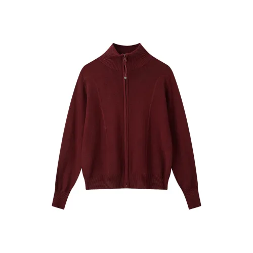 DITB Женская трикотажная одежда