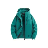 Павлиний зеленый [3-в-1/Осень и зима]