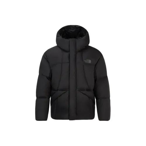 THE NORTH FACE Пуховик Мужской