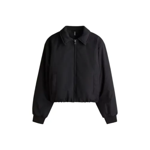H M Черные Женские Куртки