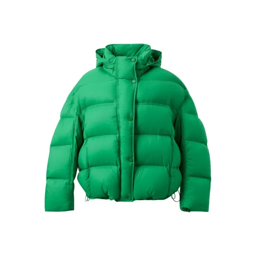 3COLOUR Лесной зеленый Женские Пуховики