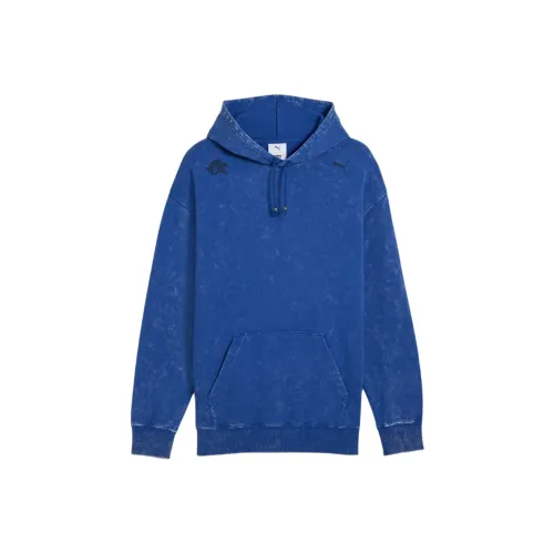 PUMA Graphic FW25 SONIC THE HEDGEHOG Свитшот Мужской