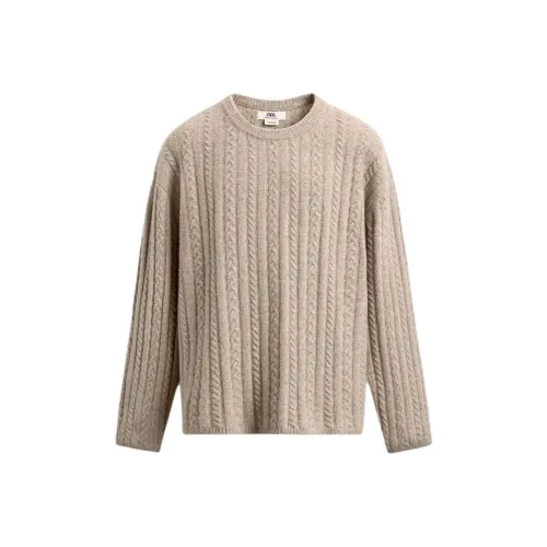 ZARA Коричневые Мужские Свитера