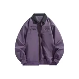 Сливовый фиолетовый