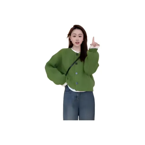 Dippanis Женская Трикотажная Одежда