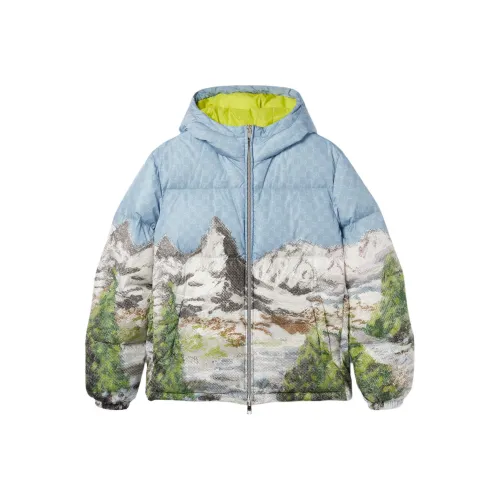 GUCCI Многоцветный Мужской Пуховик