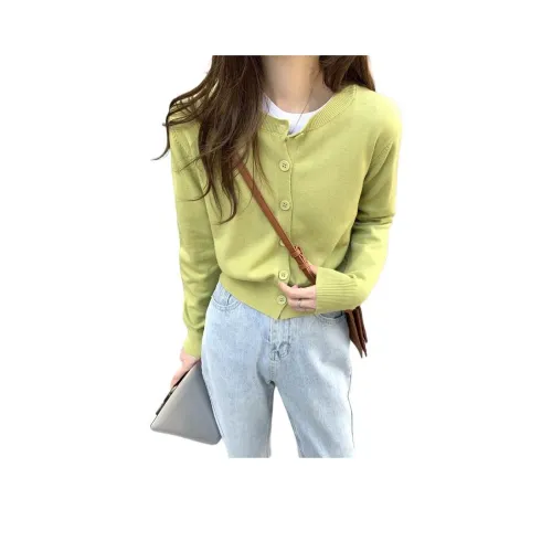 Dippanis Женская Трикотажная Одежда