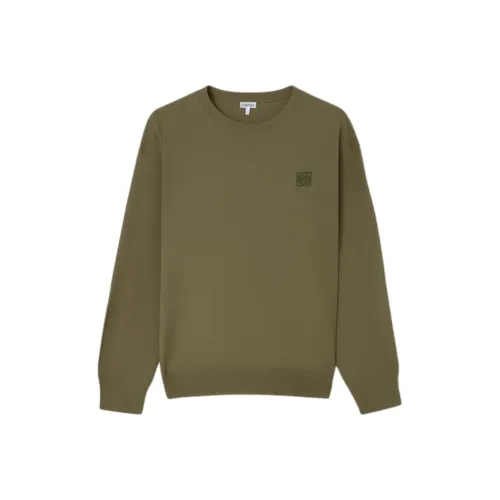 LOEWE Зеленые Женские Свитера