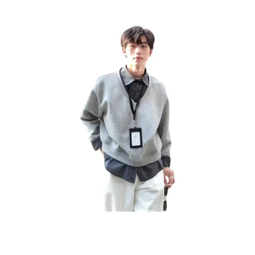 DARK HORSE Серый Унисекс Свитшоты