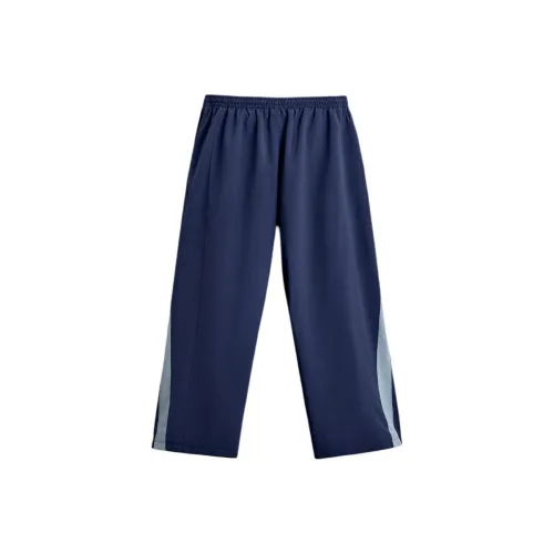 ZARA Темно-синий Мужские Повседневные Штаны