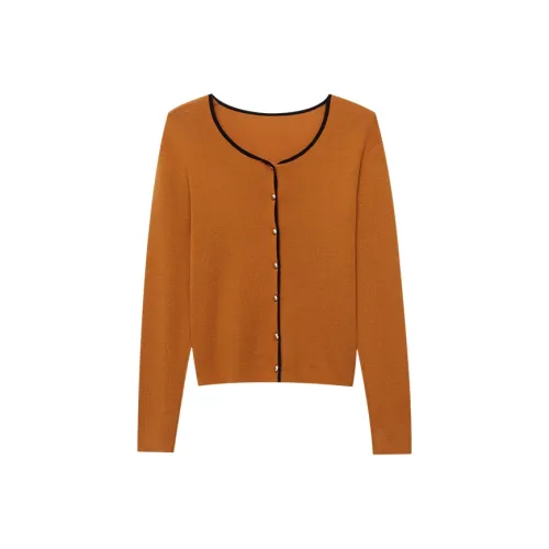 CHARM PICK Тыква Желтый Женские Трикотаж