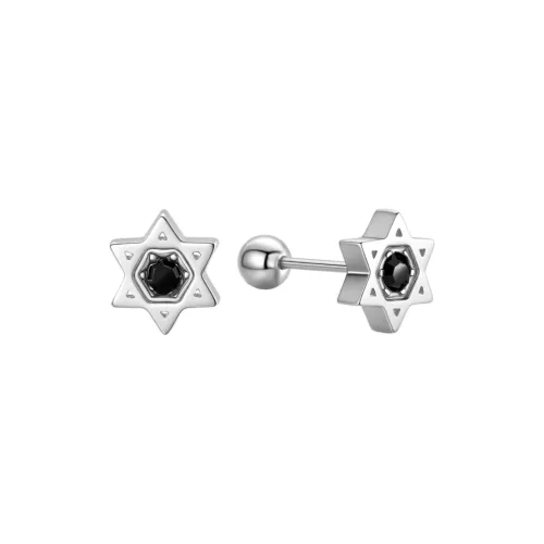 FAIRWHALE Титановые стальные серьги-гвоздики унисекс