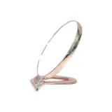 Посеребренный