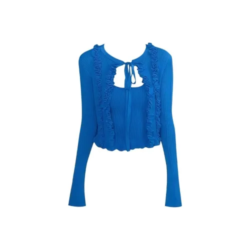 DITB Klein Синий Женский Повседневный Костюм