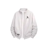 Туманно-серый