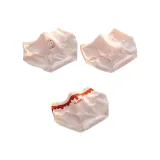 [3 упаковки] Тональная основа Bunny + Клетка + Тональная основа Letter