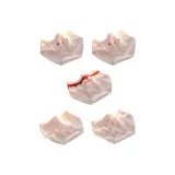 [5-штучный] Тональная основа Expression 2 + Тональная основа Письмо + Клетка + Полный принт Кролик