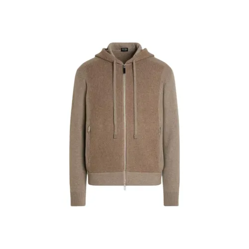 Ermenegildo Zegna Светлый Умбра Серый Мужские Кашемировые Свитера