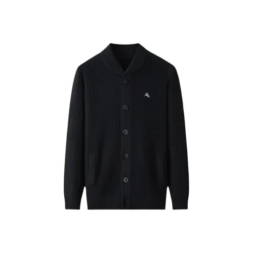 POLOMEISDO Унисекс Свитера