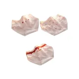 [3 упаковки] Тональная основа Expression + С принтом по всей поверхности Кролик + Тональная основа Письмо