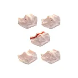 [5-штучный] Тональная основа Expression + Тональная основа Bunny + Тональная основа Letter + Клетка + Полный принт Bunny