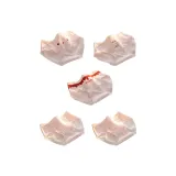 [5 Штук] Тональная основа Expression + Тональная основа Bunny + Тональная основа Letter + Клетчатый 2