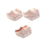 [3 упаковки] Клетка + Полный принт Кролик + Тональная основа + Буква