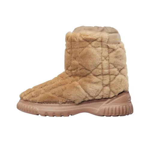 DIOR Frost Короткие Снекерки Женские Коричневые