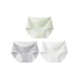 Бамбук Зеленый + Светлый Фотиния Серый + Облако Белый