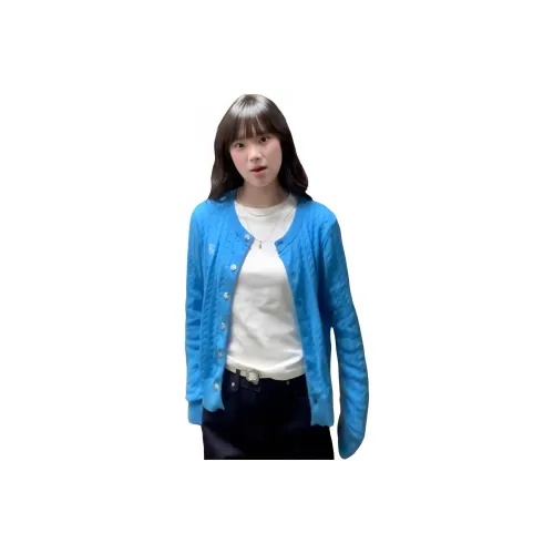 LANGQING Синий Бесплатная доставка с бренд наклейкой Женская трикотажная одежда