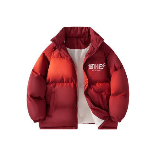 Westward Bound Chronicle Пуховая куртка Пальто Унисекс