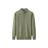 Горох Зеленый