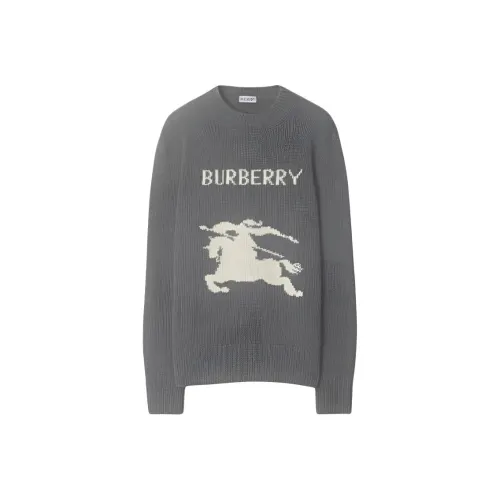 Burberry Серый Женская Трикотажная Одежда