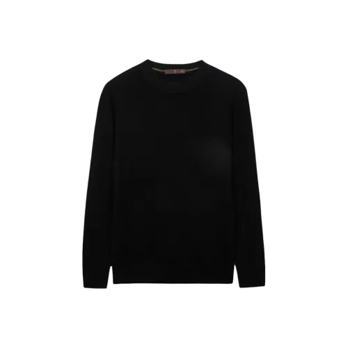 Wit Мужские кашемировые свитеры