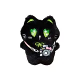 Зеленое сердце, глаз, черный кот, фототехника, украшение