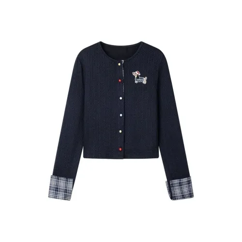 SOIE Синий Женский Трикотаж